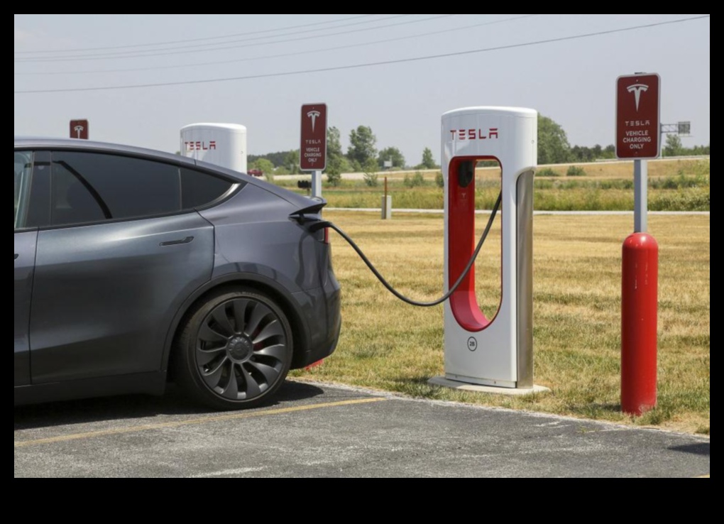 Charging Stations Chronicles: Creșterea infrastructurii pentru vehiculele electrice