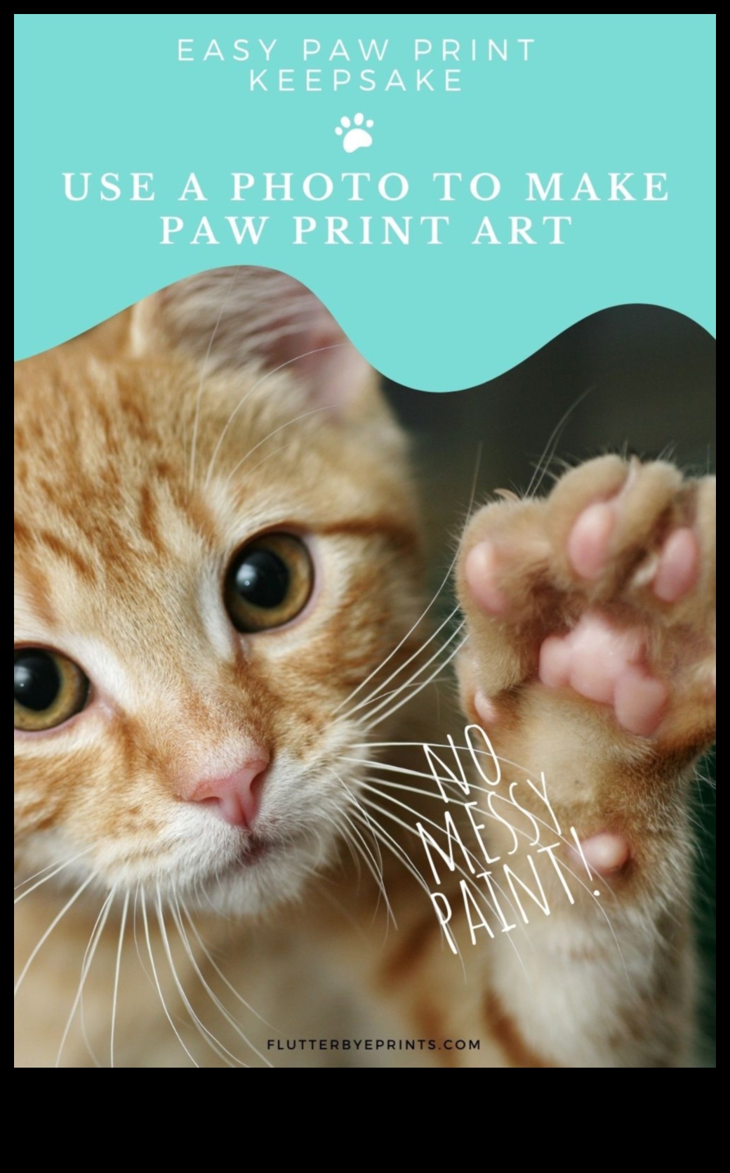 Paws and Print: Crearea de suveniruri artistice cu pisica ta