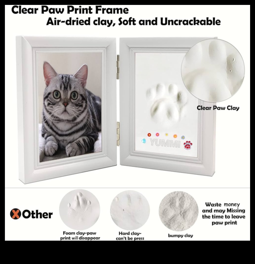 Paws and Print: Crearea de suveniruri artistice cu pisica ta