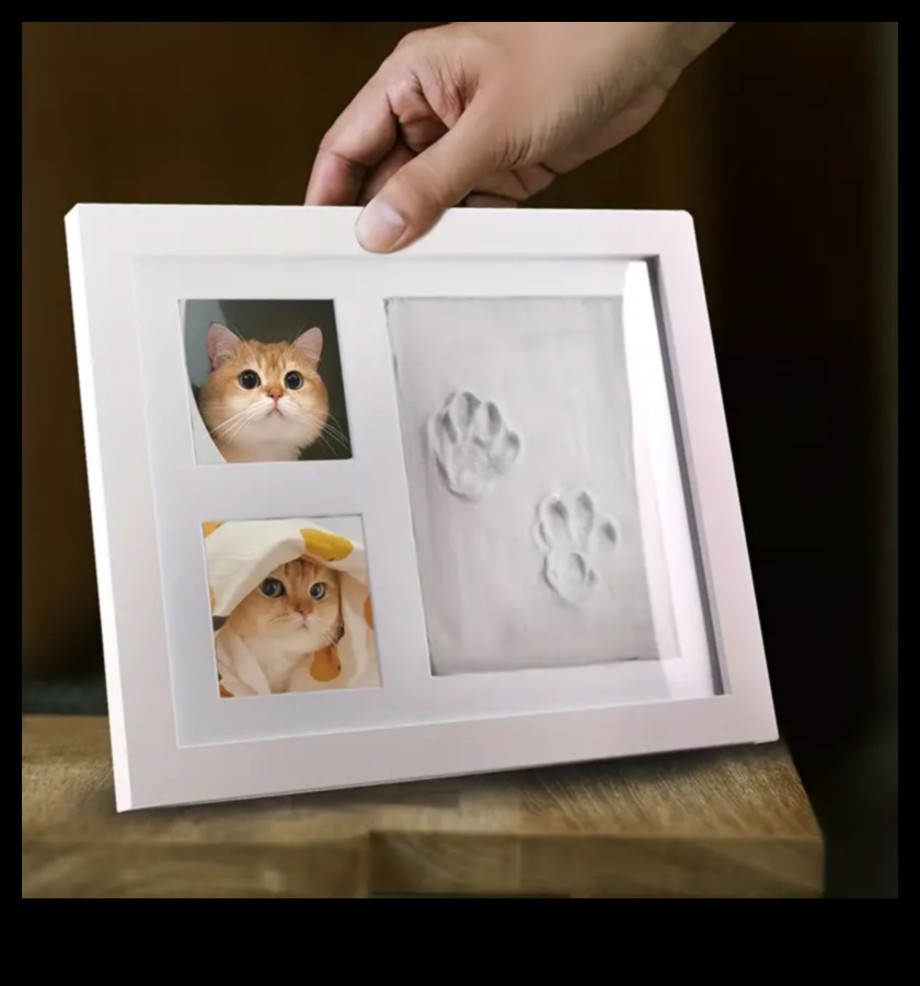 Paws and Print: Crearea de suveniruri artistice cu pisica ta