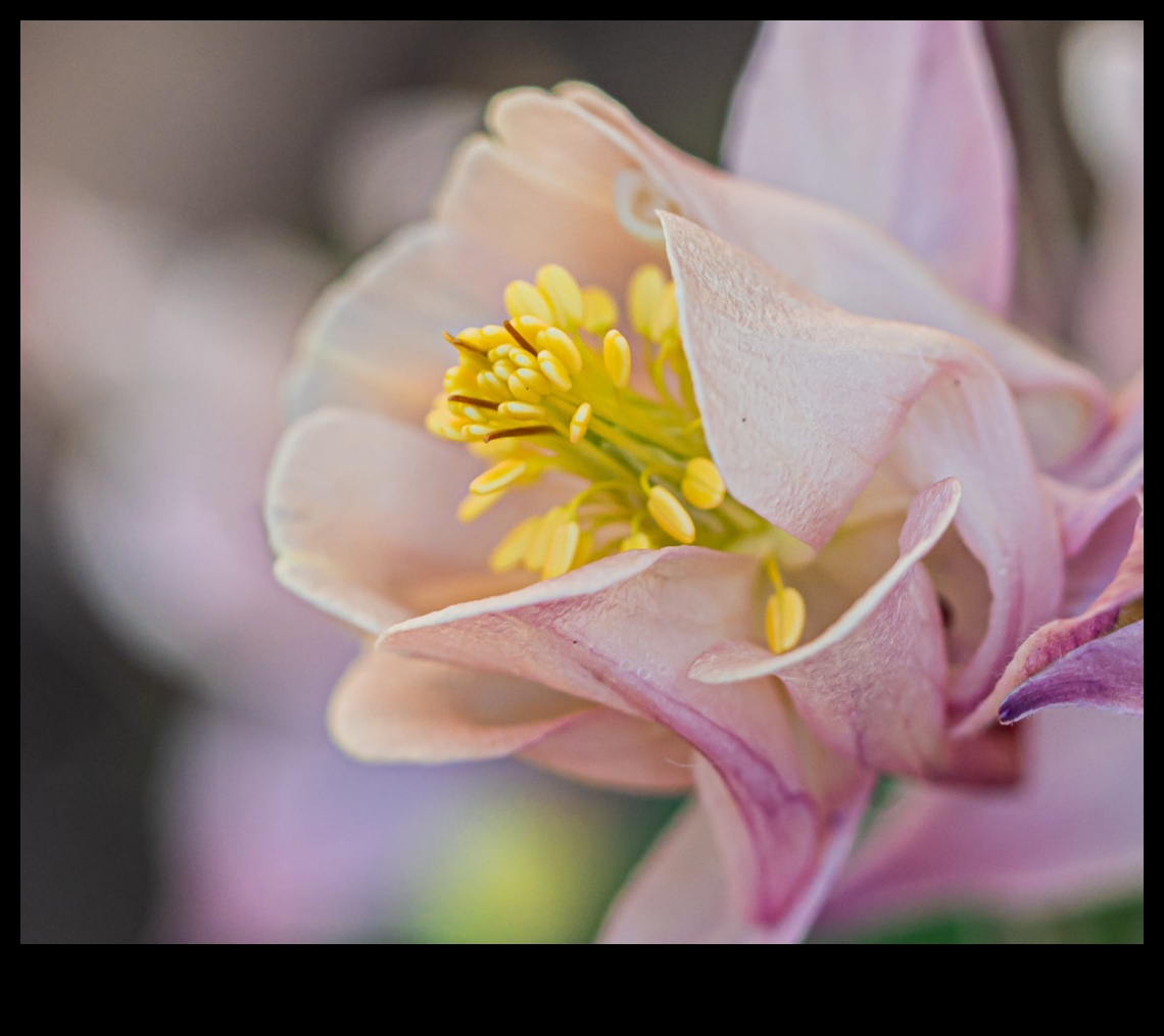 Macro Magic: Capturând esența frumuseții în fiecare mic detaliu