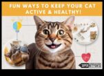 Feline Fitness Frenzy Exercițiu încurajator pentru pisici