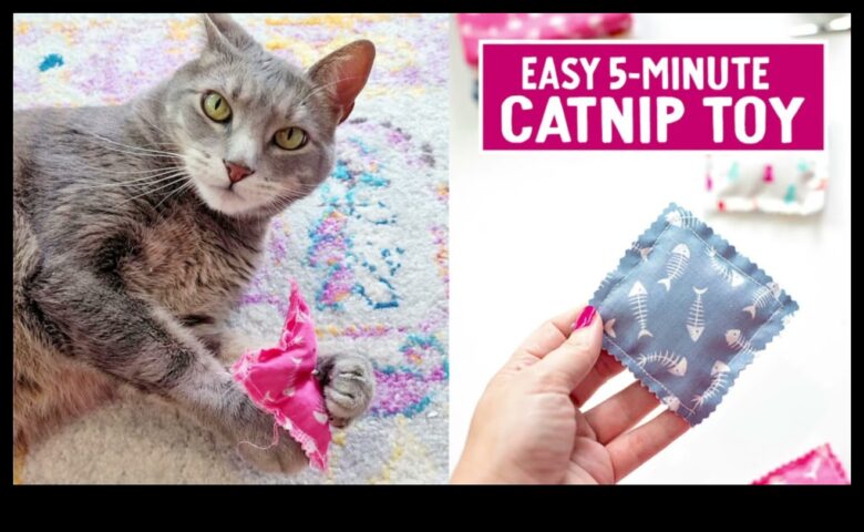 Jucării DIY Catnip Crearea de jucării distractive și stimulatoare